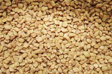Fenugreek-best-spices-and-herbs
