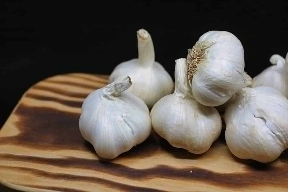 Benefits-of-spices-in-food-garlic 