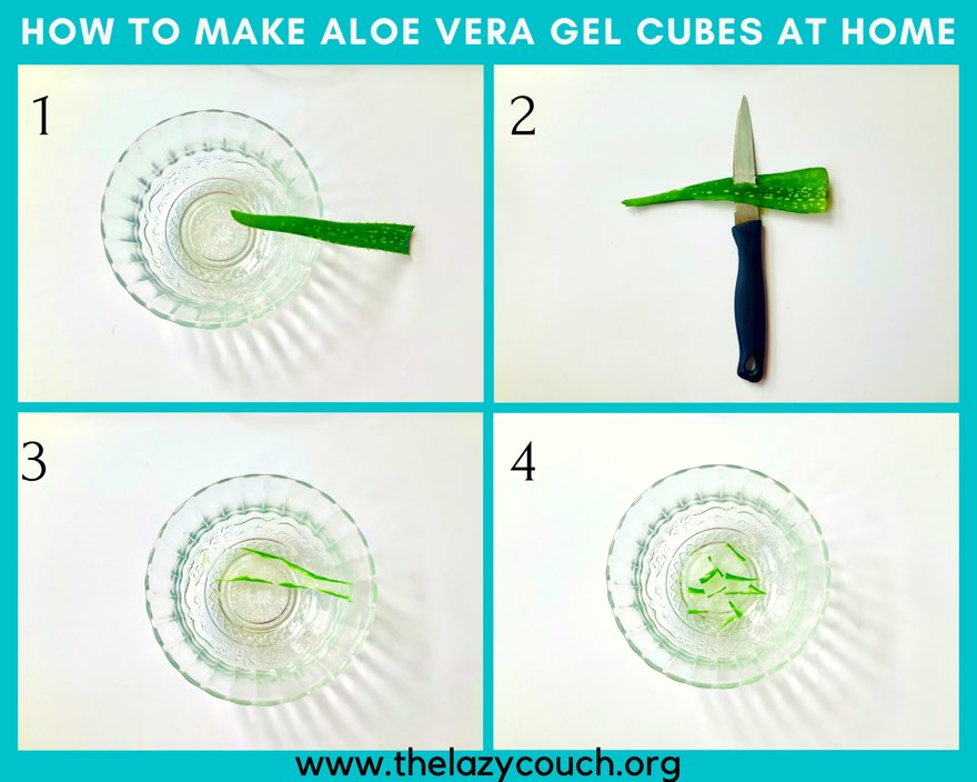 How-to-make-aloe-vera-gel-cubes-at-home