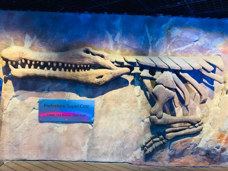 prehistoric-super-croc-at-dubai-underwater-zoo
